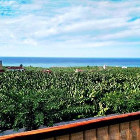 Apartamento El Tejar Tazacorte Luaran gambar