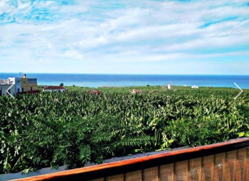 Apartamento El Tejar Tazacorte Luaran gambar